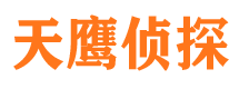 洪湖侦探公司